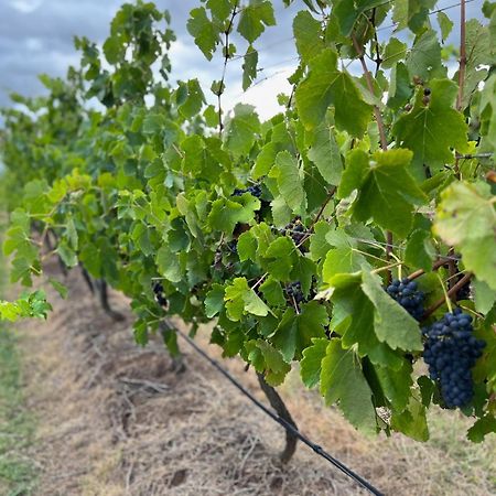 Bracken Ridge Vineyard The Entire Estate Rothbury Екстер'єр фото