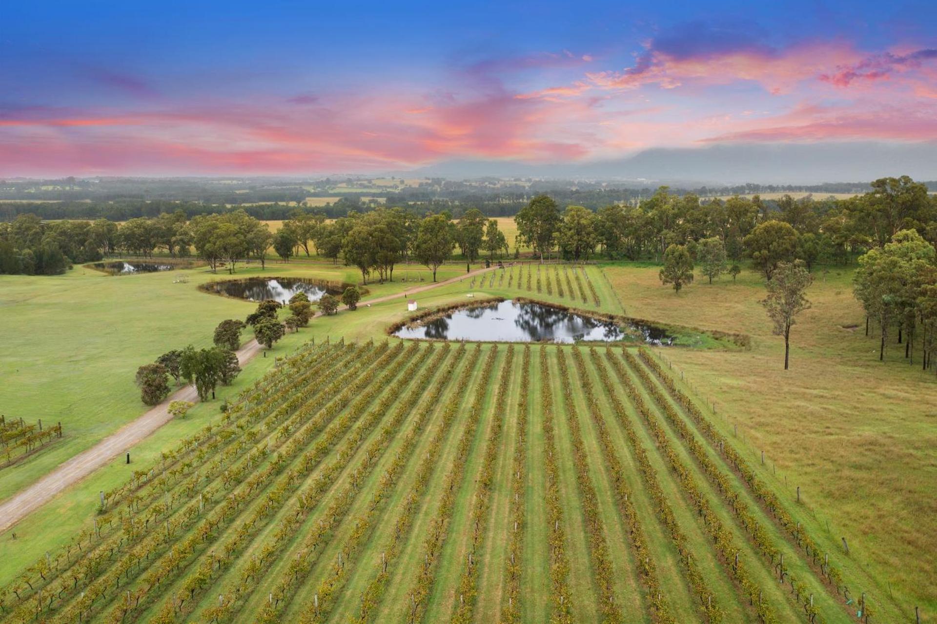 Bracken Ridge Vineyard The Entire Estate Rothbury Екстер'єр фото