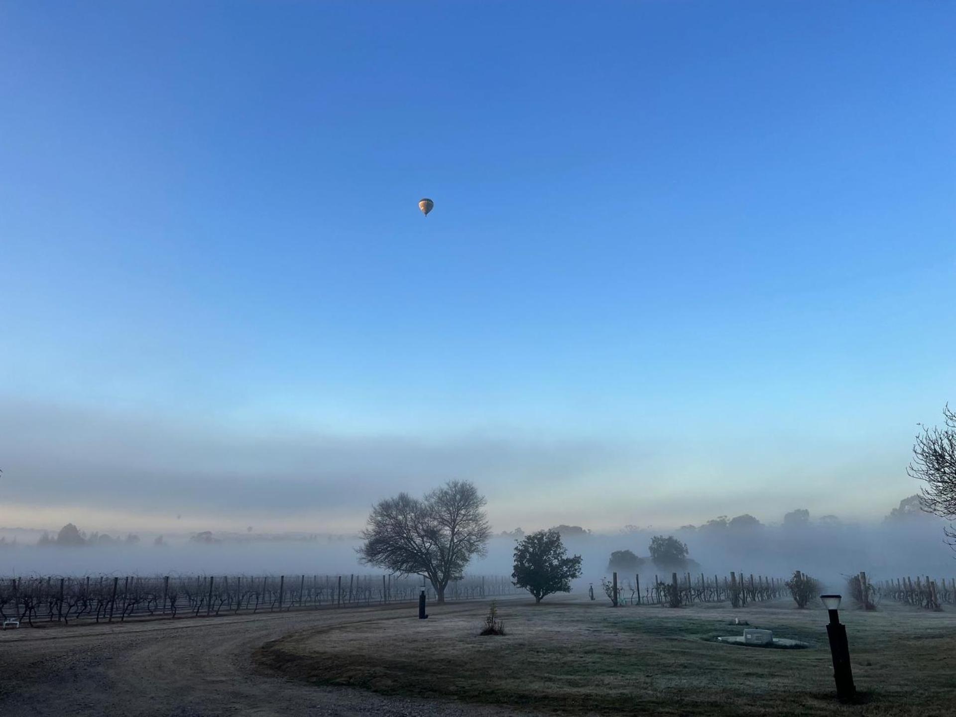 Bracken Ridge Vineyard The Entire Estate Rothbury Екстер'єр фото