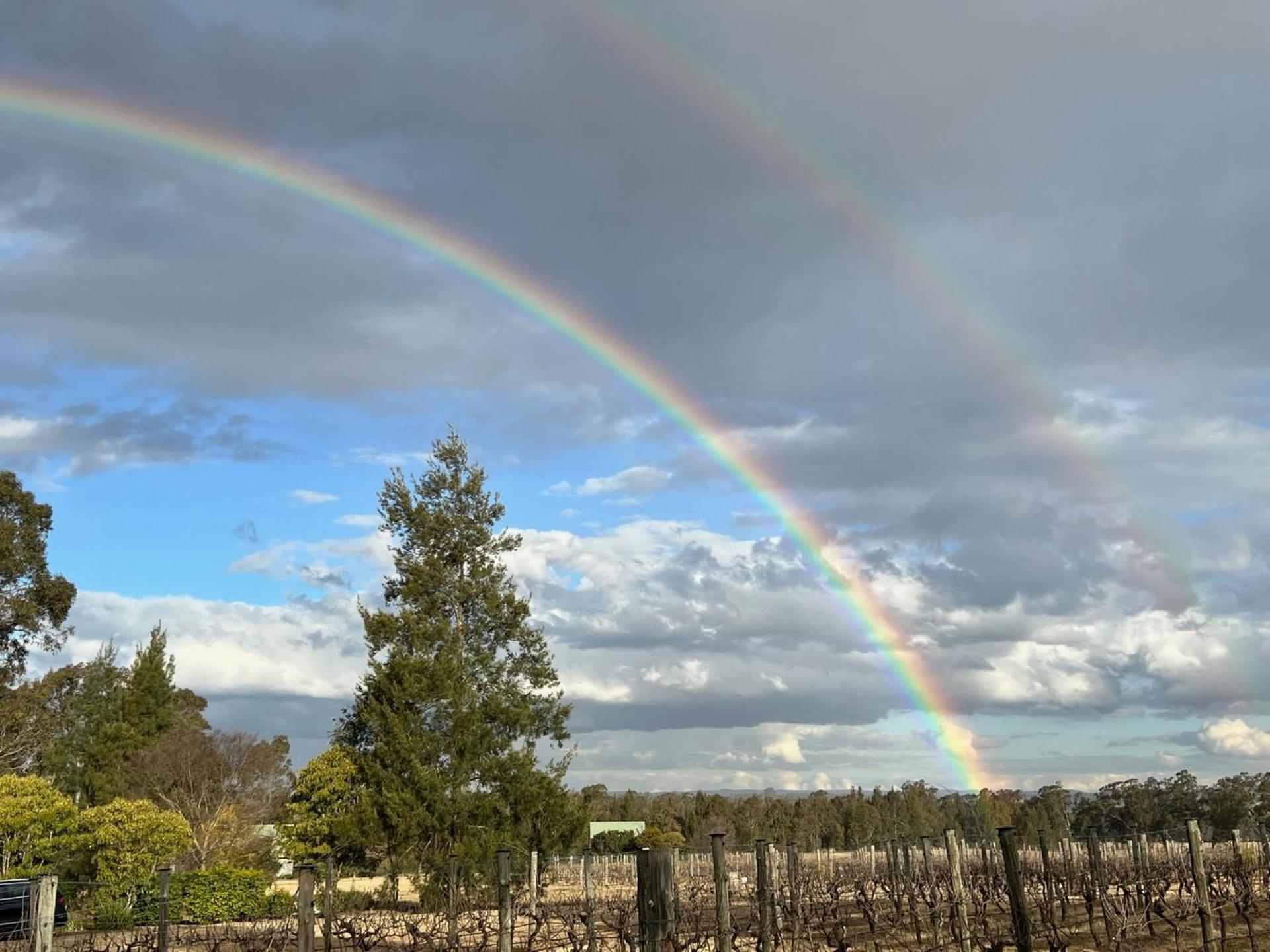 Bracken Ridge Vineyard The Entire Estate Rothbury Екстер'єр фото