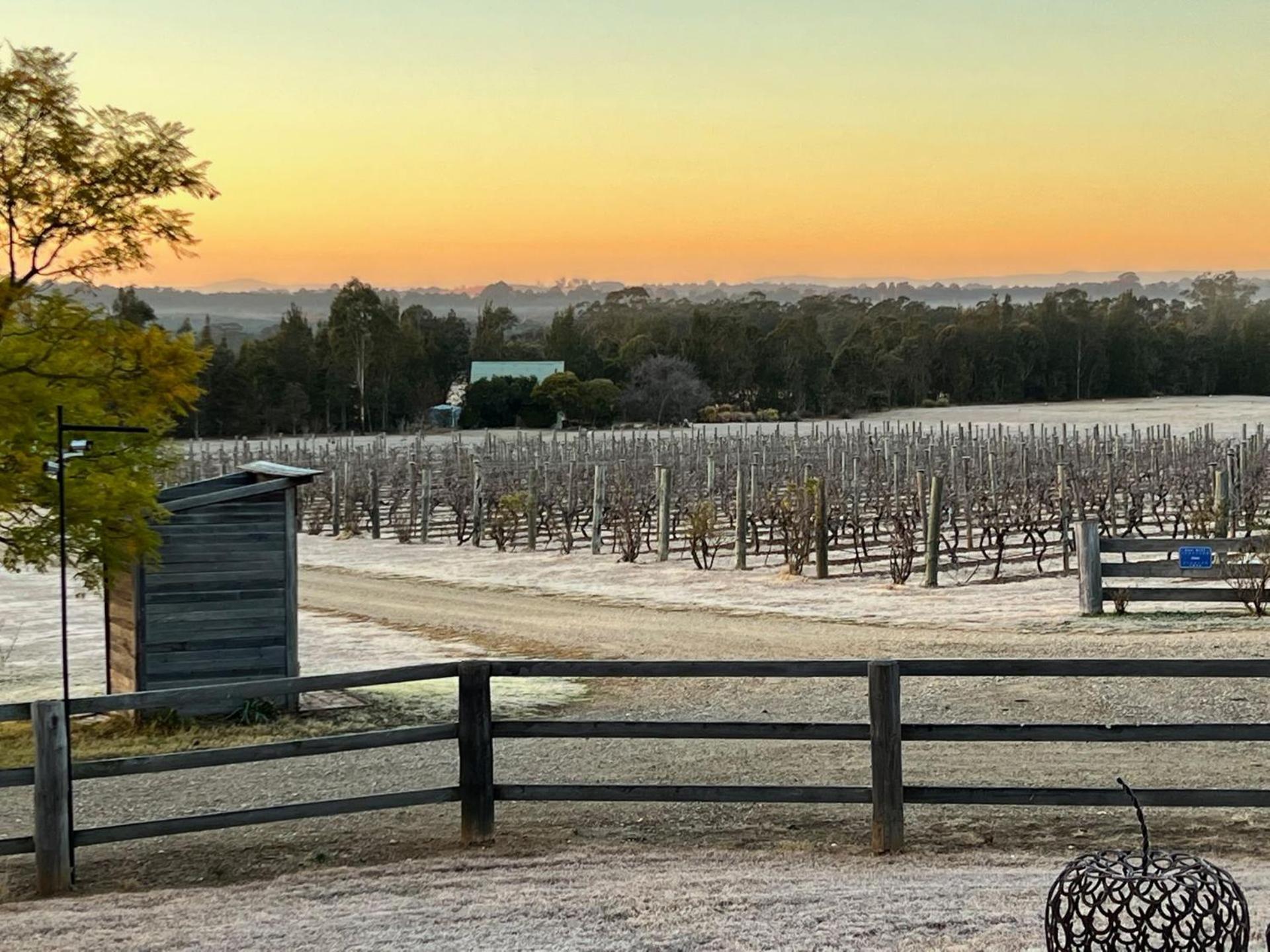 Bracken Ridge Vineyard The Entire Estate Rothbury Екстер'єр фото