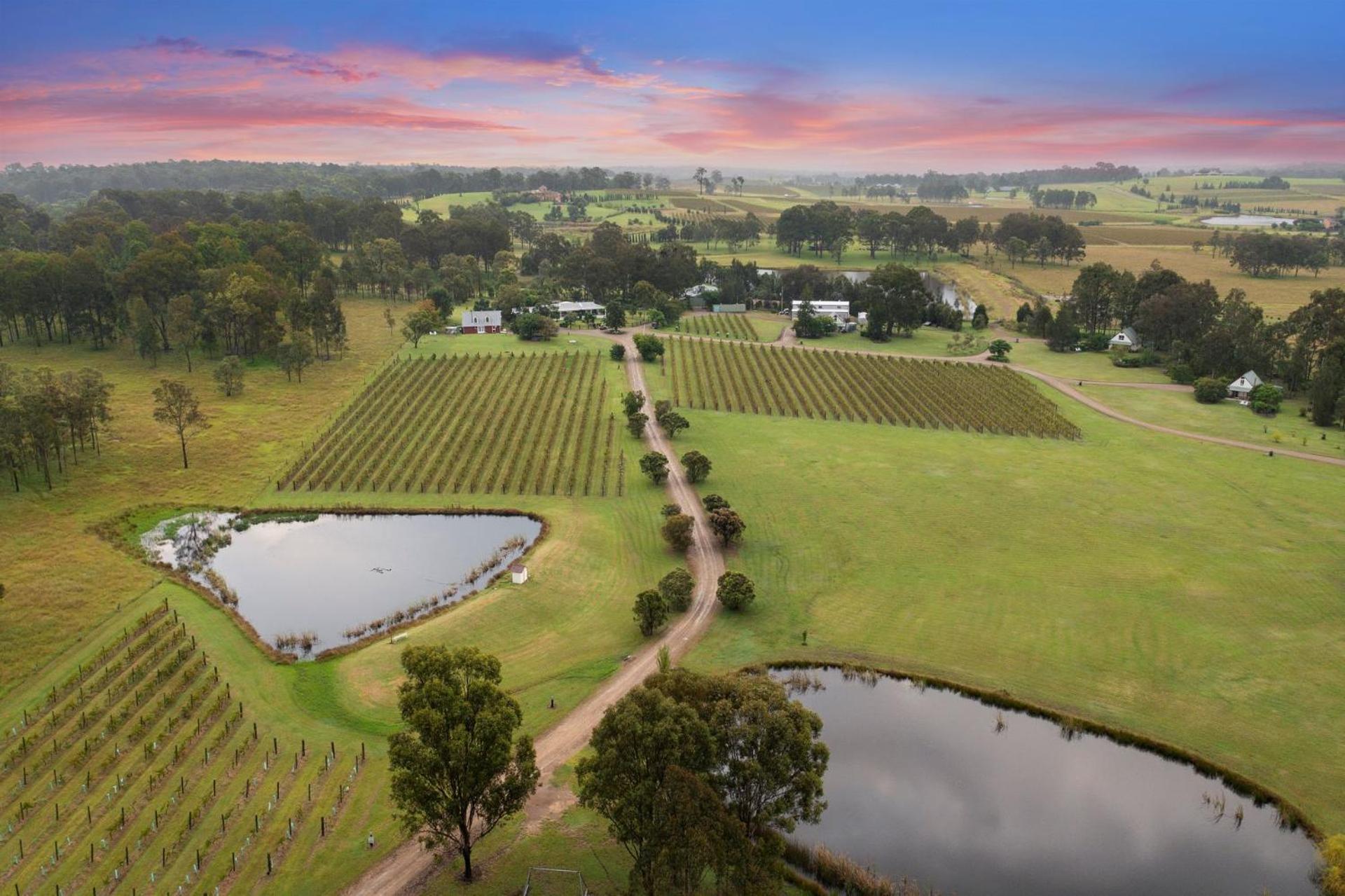 Bracken Ridge Vineyard The Entire Estate Rothbury Екстер'єр фото