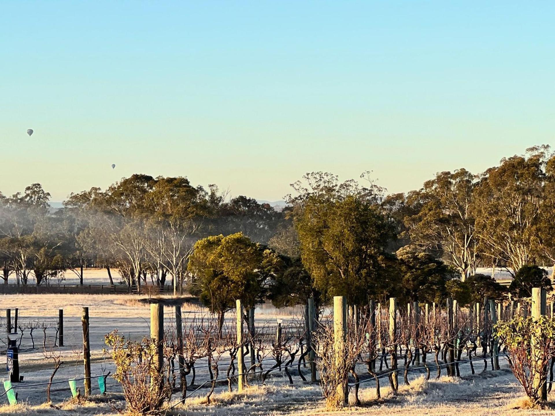 Bracken Ridge Vineyard The Entire Estate Rothbury Екстер'єр фото